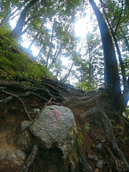 D4: 広河原>白根御池小屋 | 自己一人出走挑戰日本神山之旅 | 旅遊 露營 跑山 跑步 運動 水上活動 | Hidy Chan | hidychan.com