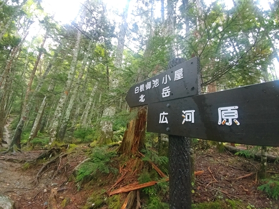 D4: 広河原>白根御池小屋 | 自己一人出走挑戰日本神山之旅 | 旅遊 露營 跑山 跑步 運動 水上活動 | Hidy Chan | hidychan.com