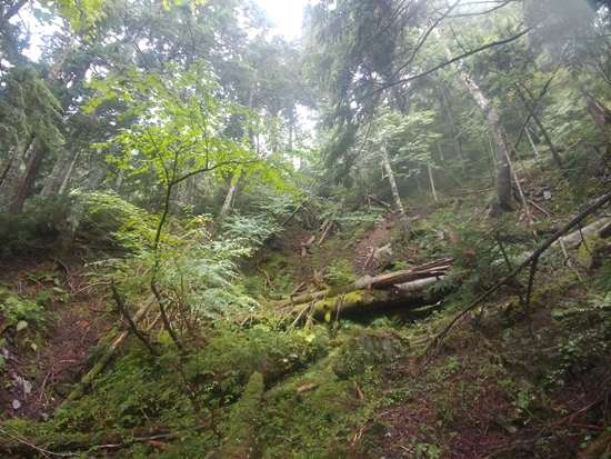 D6: 農鳥岳>大門沢小屋 | 自己一人出走挑戰日本神山之旅 | 旅遊 露營 跑山 跑步 運動 水上活動 | Hidy Chan | hidychan.com