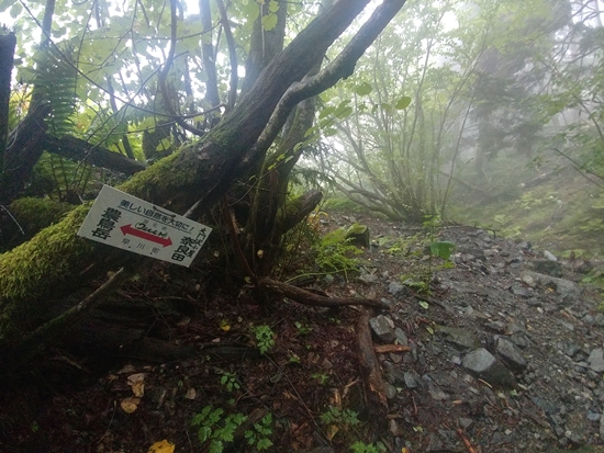 D6: 農鳥岳>大門沢小屋 | 自己一人出走挑戰日本神山之旅 | 旅遊 露營 跑山 跑步 運動 水上活動 | Hidy Chan | hidychan.com