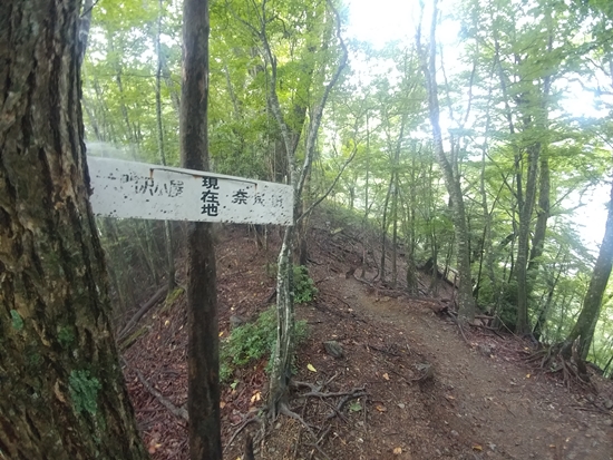 D7: 大門沢小屋>奈良田第一発電所 | 自己一人出走挑戰日本神山之旅 | 旅遊 露營 跑山 跑步 運動 水上活動 | Hidy Chan | hidychan.com