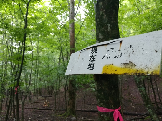 D7: 大門沢小屋>奈良田第一発電所 | 自己一人出走挑戰日本神山之旅 | 旅遊 露營 跑山 跑步 運動 水上活動 | Hidy Chan | hidychan.com