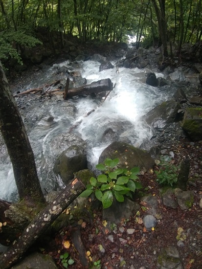 D7: 大門沢小屋>奈良田第一発電所 | 自己一人出走挑戰日本神山之旅 | 旅遊 露營 跑山 跑步 運動 水上活動 | Hidy Chan | hidychan.com