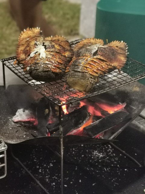  | 海鮮/肉肉 | 露營食物 | hidychan.com