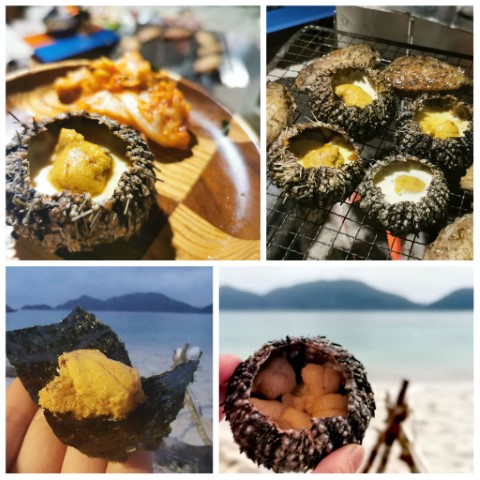  | 海鮮/肉肉 | 露營食物 | hidychan.com