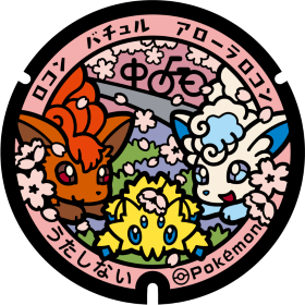日本Pokemon渠蓋