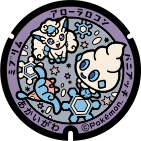 日本Pokemon渠蓋