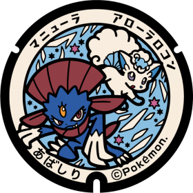 日本Pokemon渠蓋