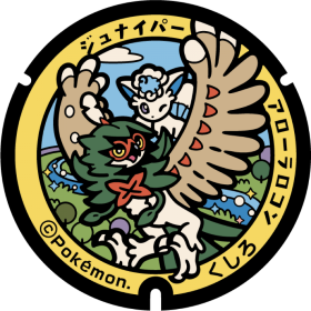 日本Pokemon渠蓋