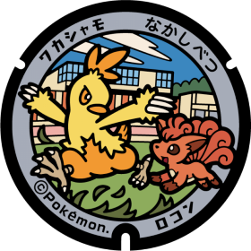 日本Pokemon渠蓋