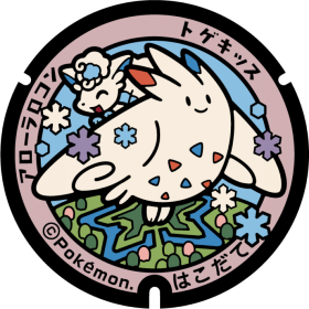 日本Pokemon渠蓋