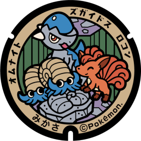 日本Pokemon渠蓋
