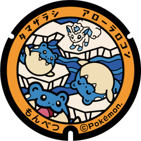 日本Pokemon渠蓋