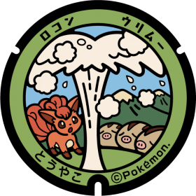 日本Pokemon渠蓋