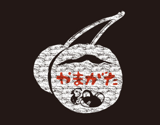 日本Montbell特別T