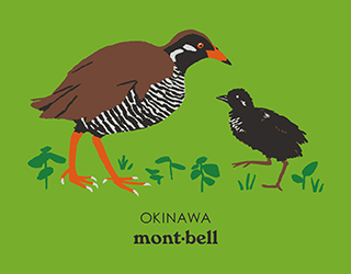 日本Montbell特別T