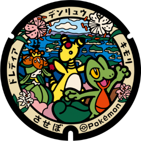 日本Pokemon渠蓋