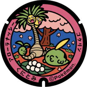 日本Pokemon渠蓋